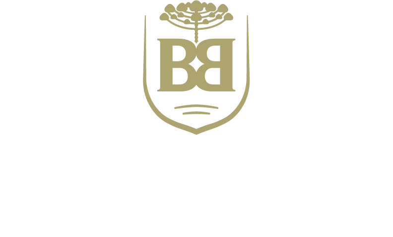 Logo Baden