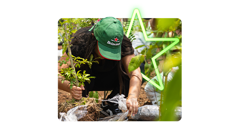 Mulher plantando mudas de plantas